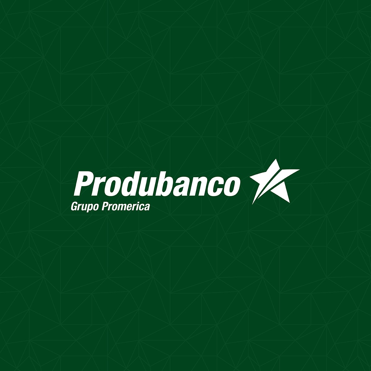 Logo Produbanco